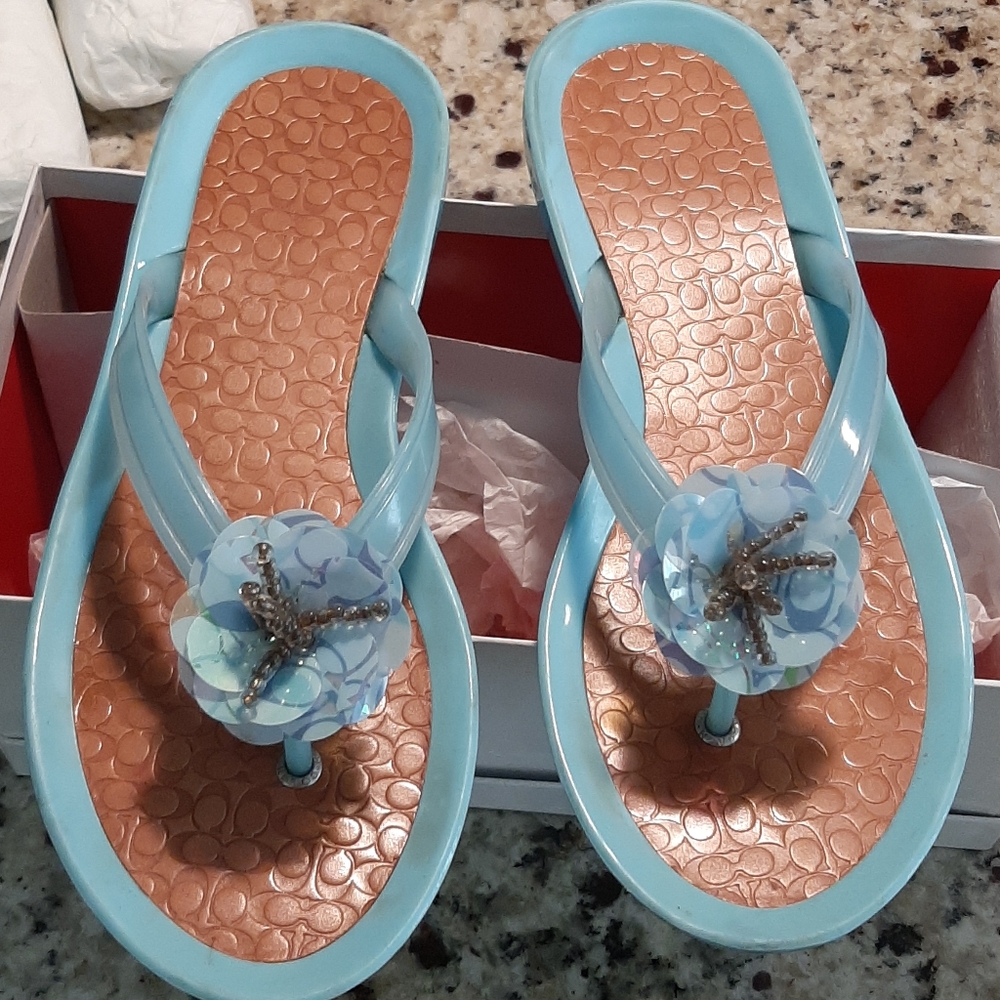 Flip Flops